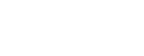 logo blanco de dragon destino China